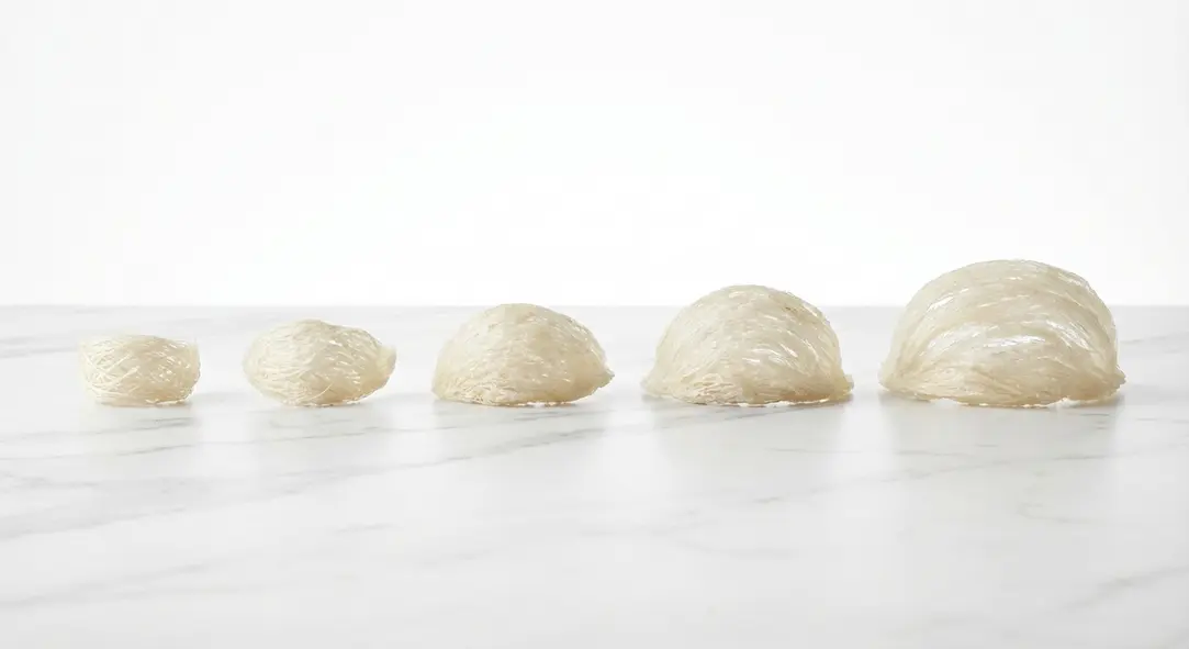 Sự khác biệt rõ rệt về kích thước giữa các loại tổ yến từ 1A đến 5A.