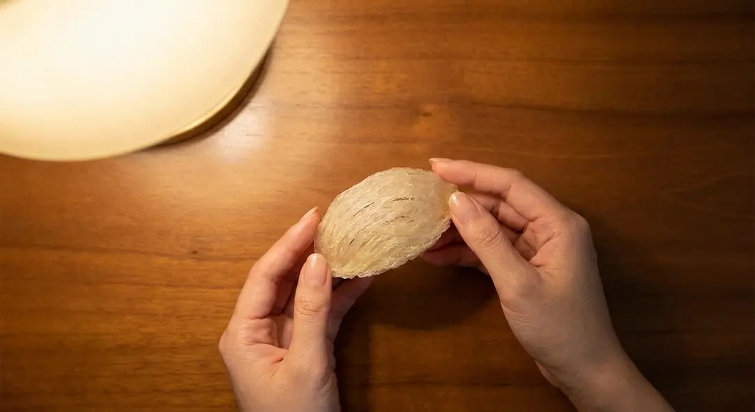 Kiểm tra kỹ lưỡng tổ yến là bước quan trọng để đảm bảo chất lượng.