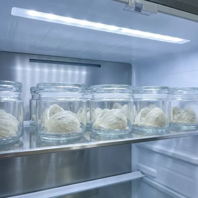 Bảo quản tổ yến trong ngăn mát tủ lạnh với không gian độc lập để tránh nhiễm khuẩn.