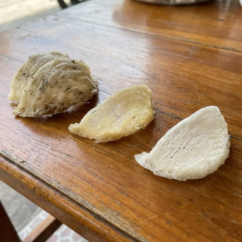 Phân loại yến sào thô và tinh chế