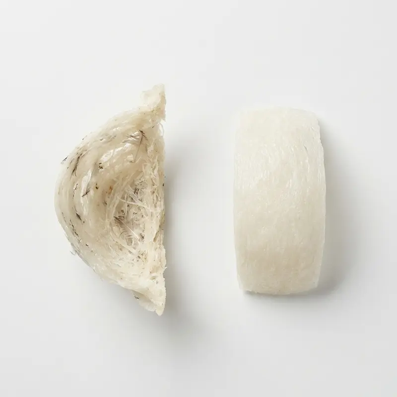 So sánh trực quan sự khác biệt về hình dáng giữa yến rút lông khô (trái) và yến tinh chế (phải).