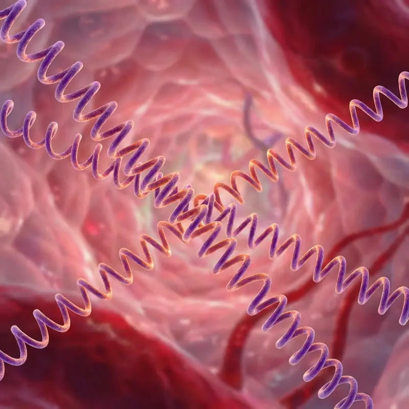 Sợi elastin giúp tăng cường độ đàn hồi cho các cơ quan của thai nhi.